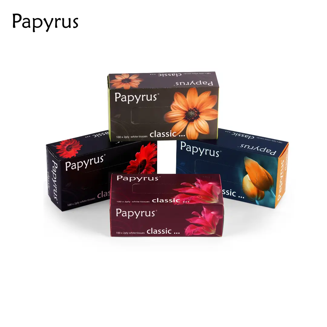 Facial Tissue 100pulls classic